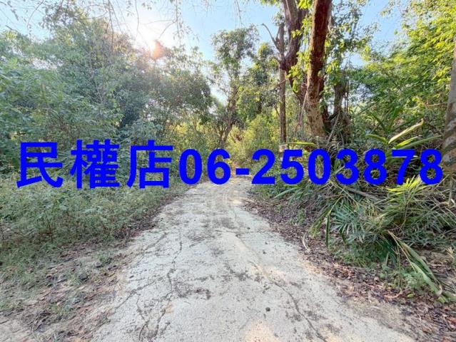 台南龍崎山坡地-8