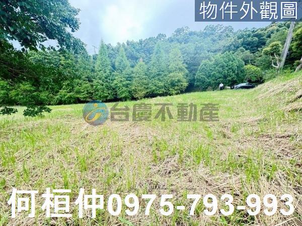 苗栗三灣農地-2