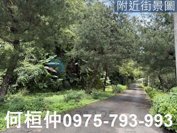 苗栗三灣農地-1