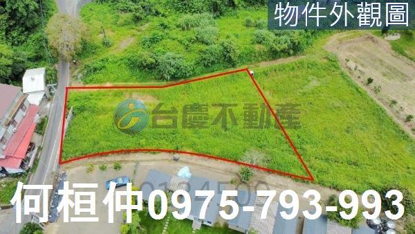 南庄建地出售南庄雙面臨路建地出售