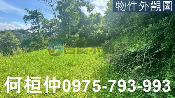 苗栗三灣農地-3