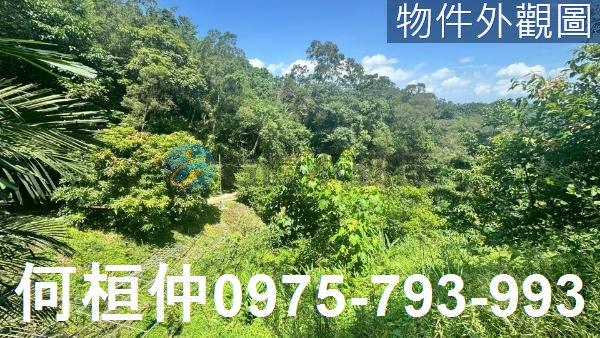 苗栗三灣農地-4