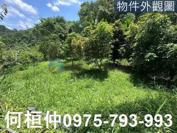 苗栗三灣農地-6