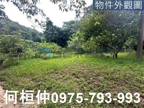苗栗三灣農地-7