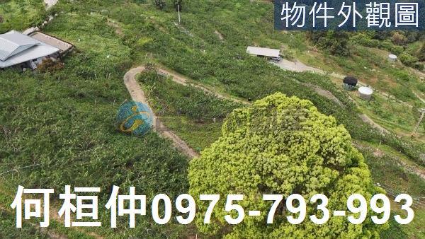 苗栗農地買賣大湖土地買賣