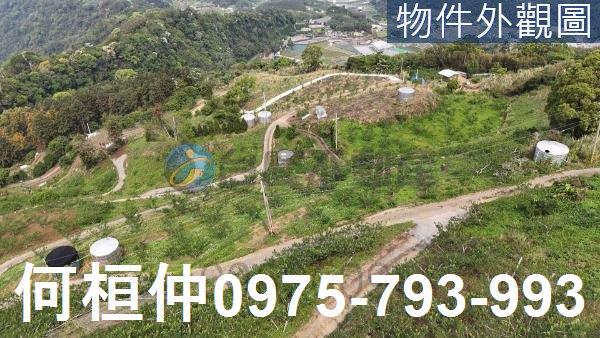 苗栗大湖農地-1
