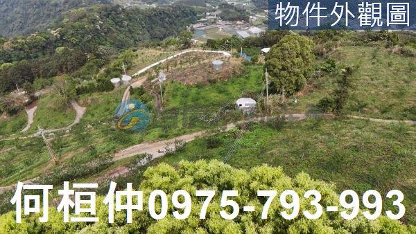 苗栗大湖農地-3