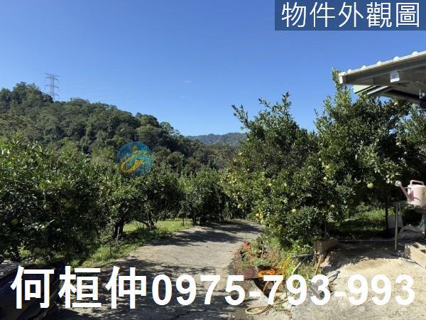 苗栗獅潭農地-0