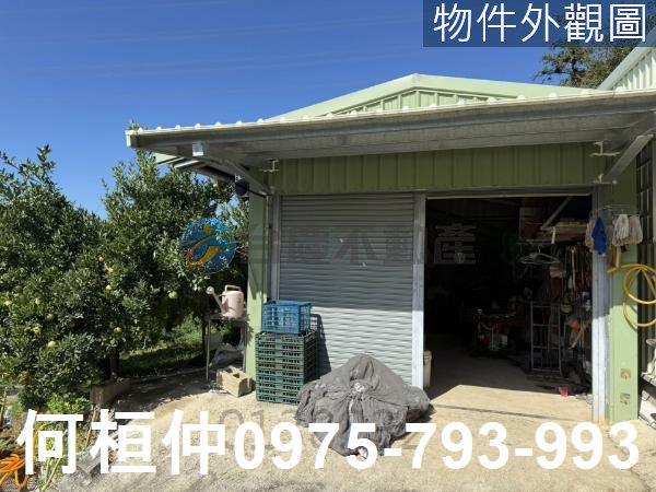 苗栗獅潭農地-1