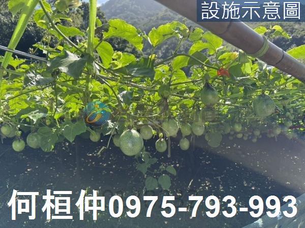 苗栗獅潭農地-2