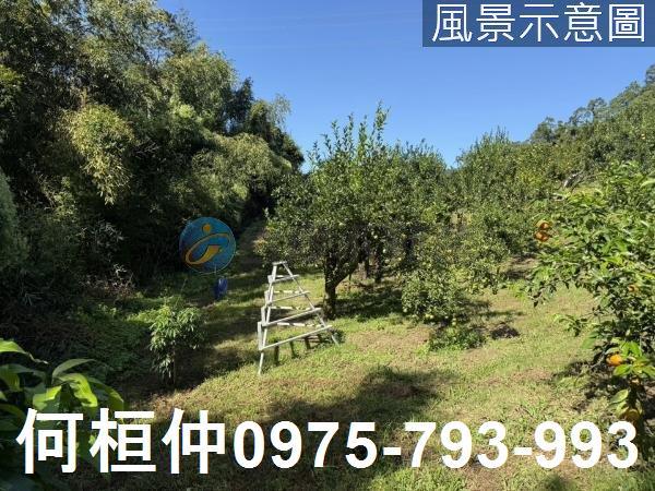 苗栗獅潭農地-4