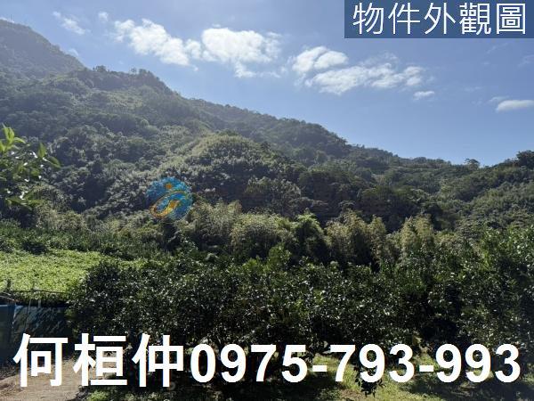 苗栗獅潭農地-5