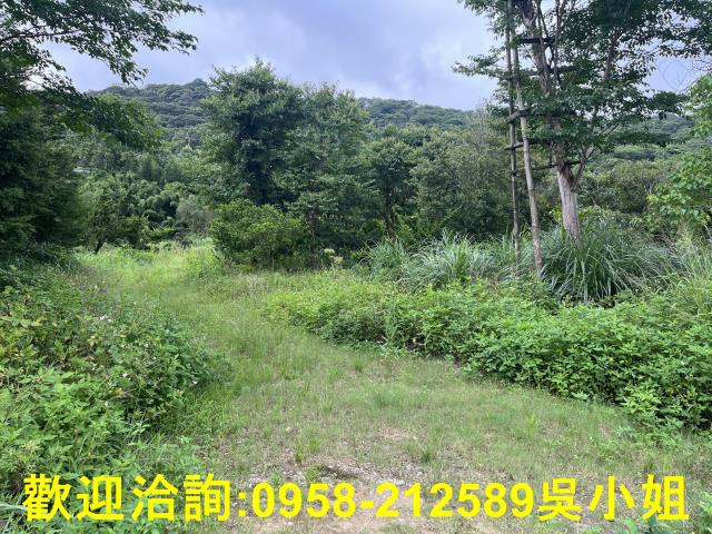 新竹湖口農地建地徵收地重劃地房屋買賣租賃