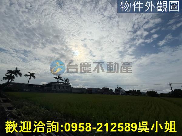 楊梅農地-2