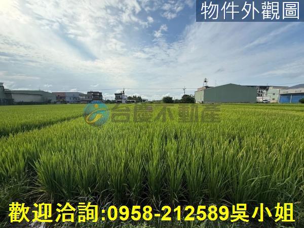 楊梅農地-6