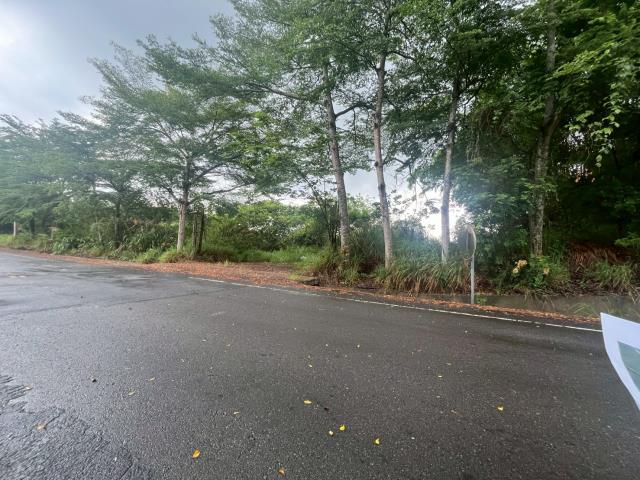 南投草屯工業地-12