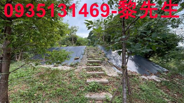 新竹北埔農地-5