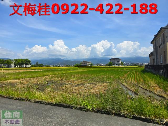宜蘭宜蘭市農地-4