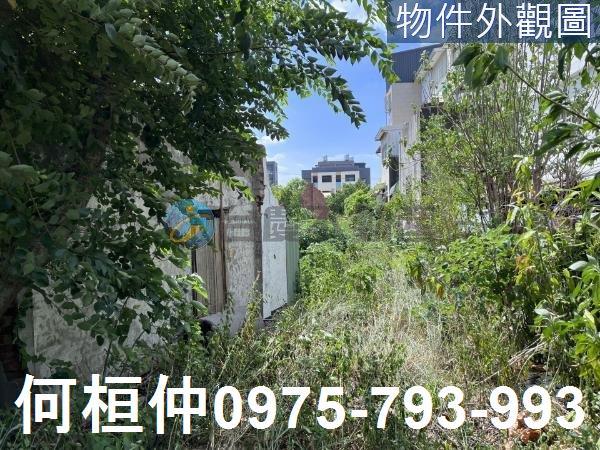 苗栗竹南建地-2