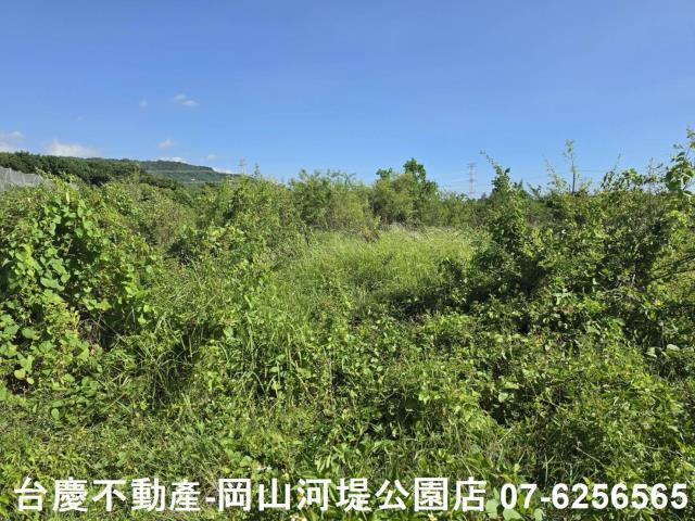 阿蓮農地-10
