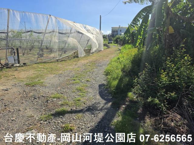 阿蓮農地-1