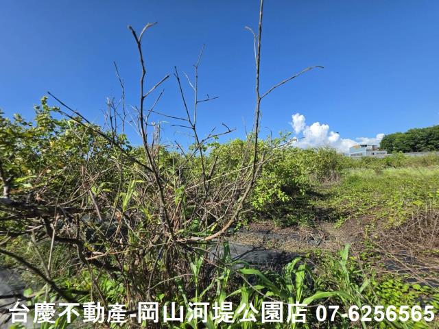 阿蓮農地-3