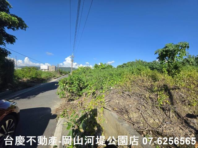 阿蓮農地-4
