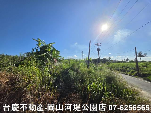 阿蓮農地-6