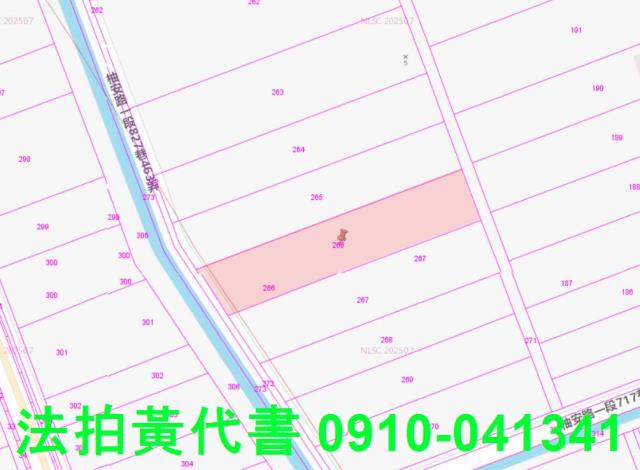台南農地法拍-3