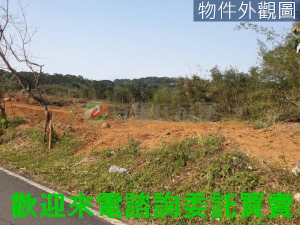 新北農地-1