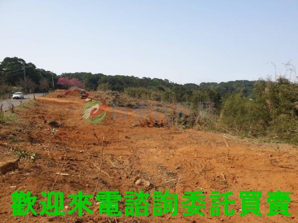 新北農地-2