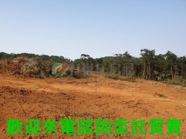 新北農地-3