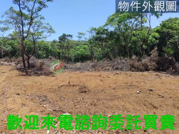 新北農地-3