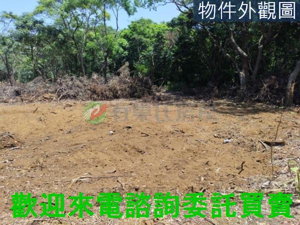 新北農地-4