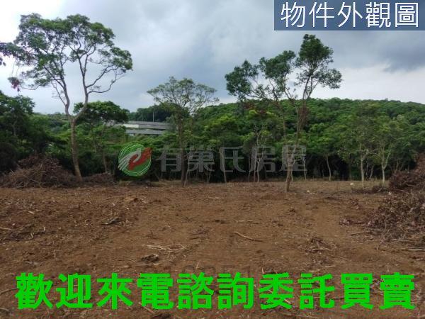 新北農地-6
