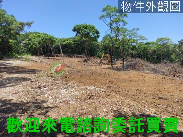 新北農地-7