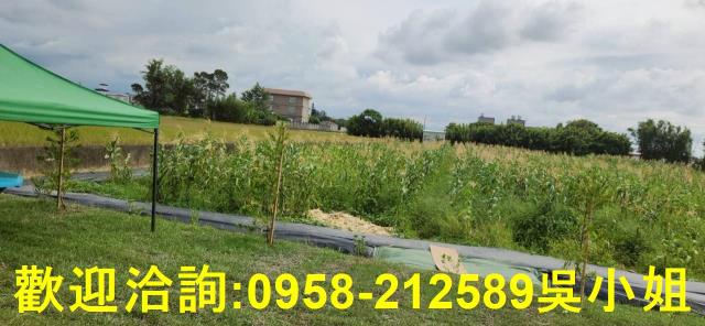 新竹農地-5