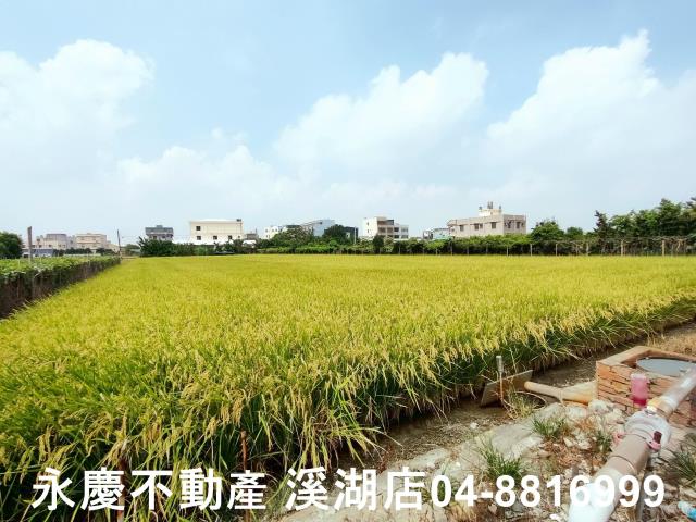 彰化溪湖農地-1