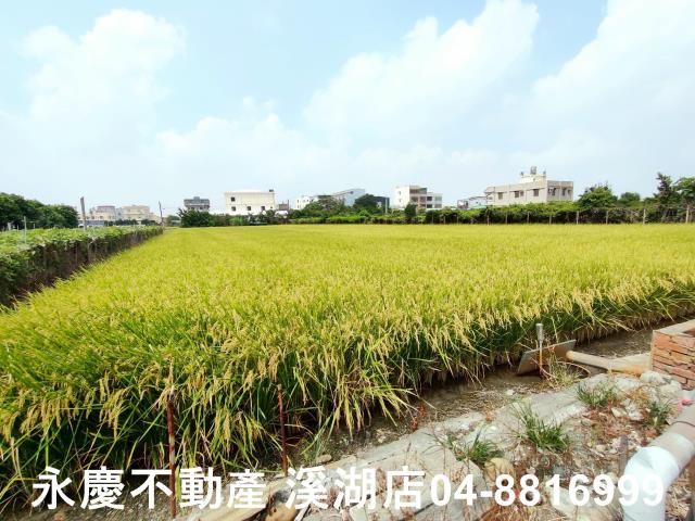 彰化溪湖農地-4