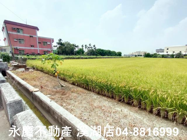 彰化溪湖農地-6