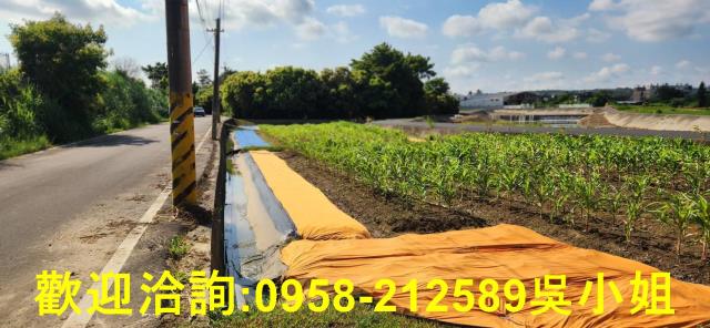新竹新豐農地-11