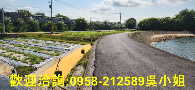 新竹新豐農地-14