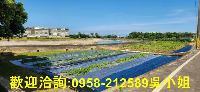 新竹新豐農地-0