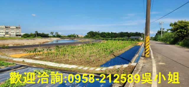 新竹新豐農地-2