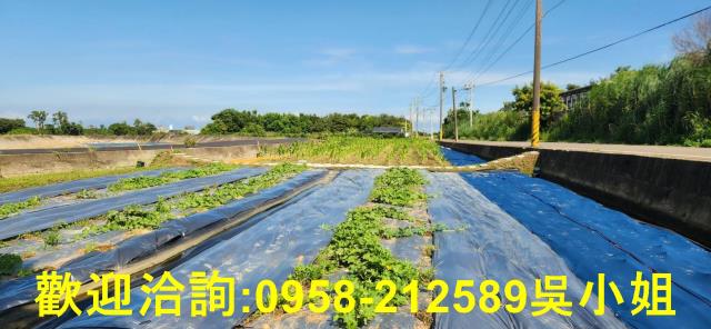 新竹新豐農地-5