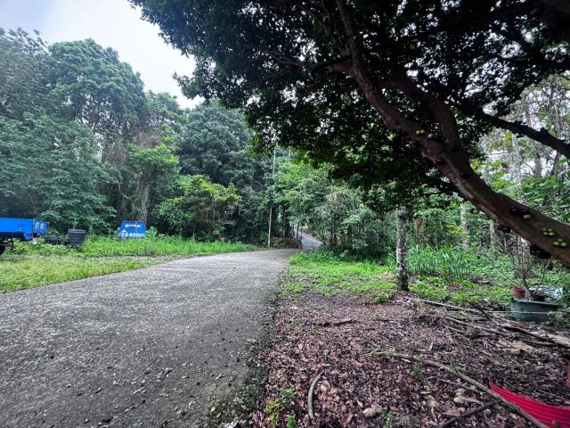 嘉義竹崎農地-3