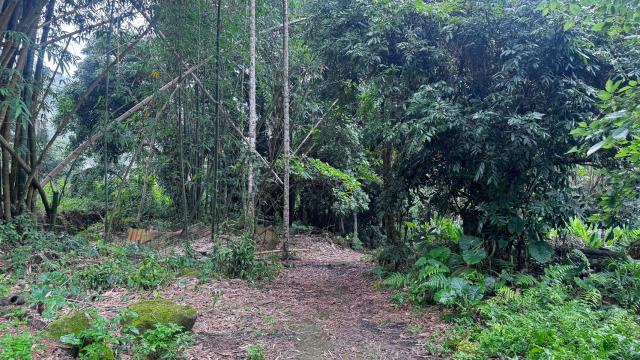 嘉義竹崎農地-4