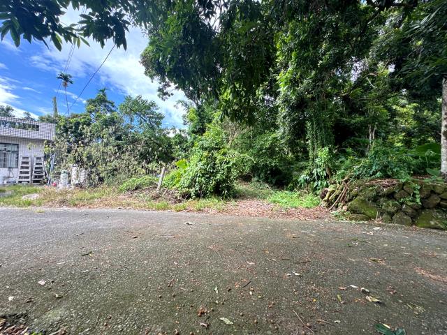 嘉義竹崎農地-5