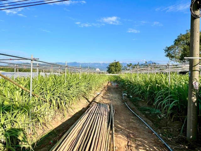 南投市南崗國中旁農地2分