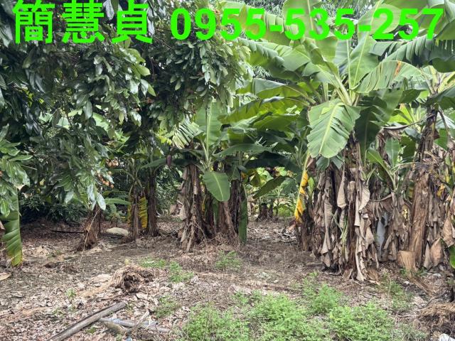 名間建地-3